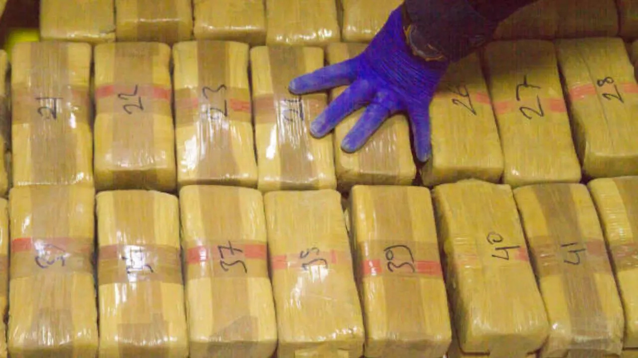 560 kg of drugs arrested