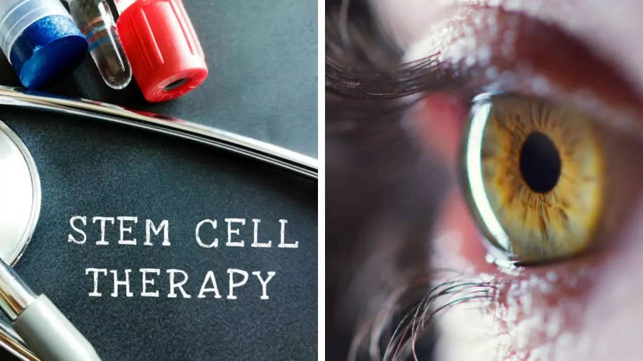 Breakthrough Stem Cell Therapy May Repair Vision-Robbing Holes In Retina 