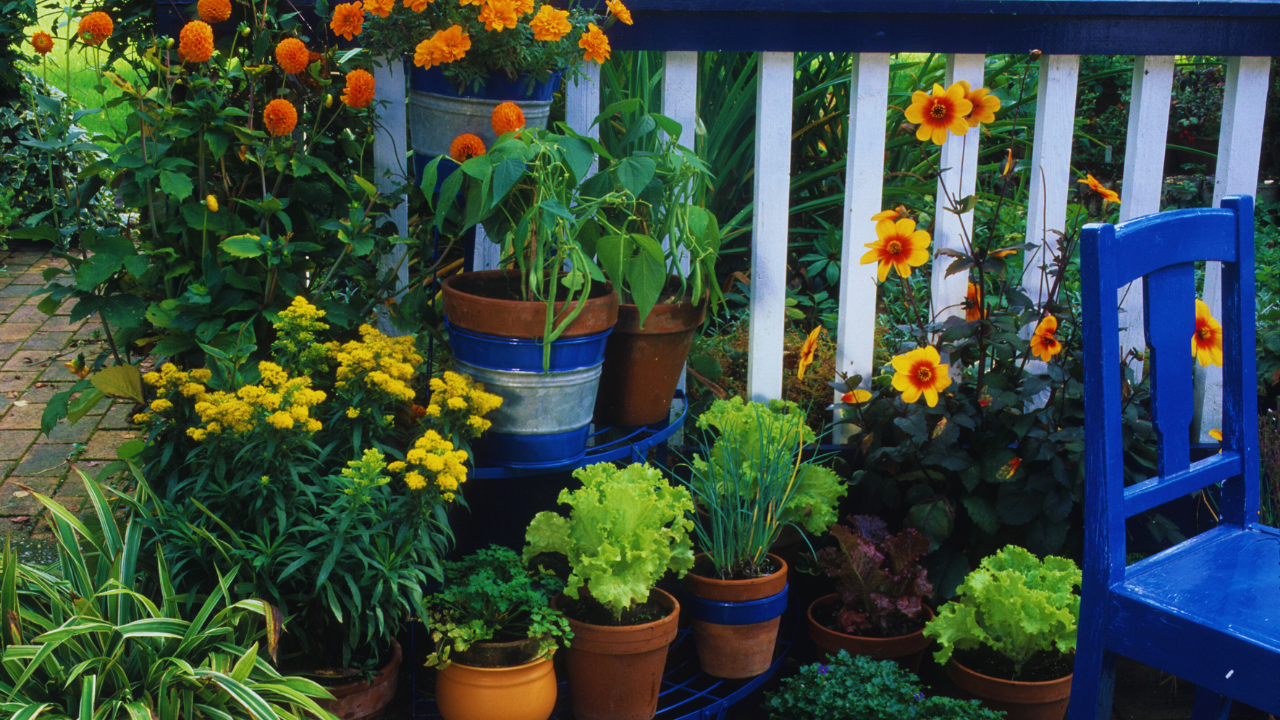 Balcony Garden Ideas for Small Spaces