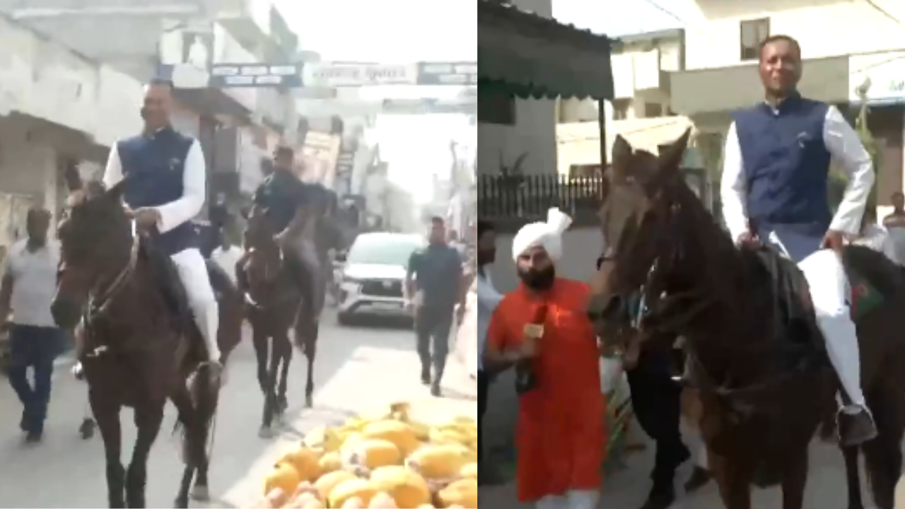 naveen jindal horse