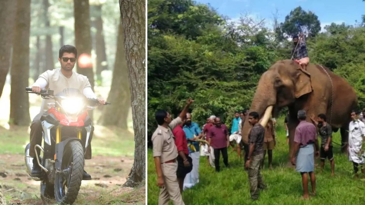 where was vijay deverakonda when elephants manikandan and sadhu engaged in clash ?  jomon t john reacts