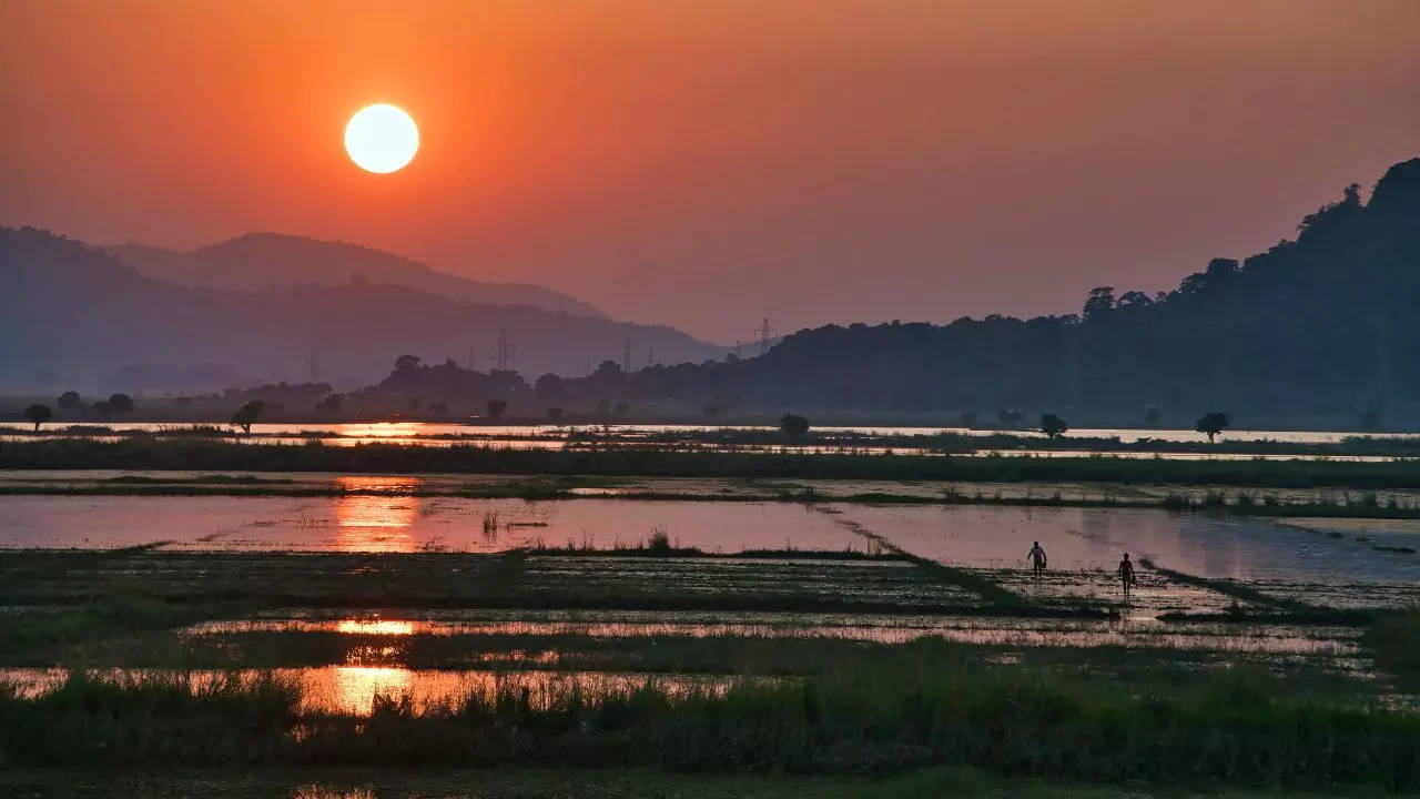 The Perfect 48-Hour Guide To Exploring Guwahati. Credit: iStock