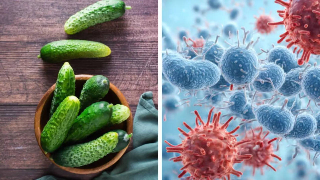 Boy Dies After of salmonella poisoning after eating Cucumber In Dinner