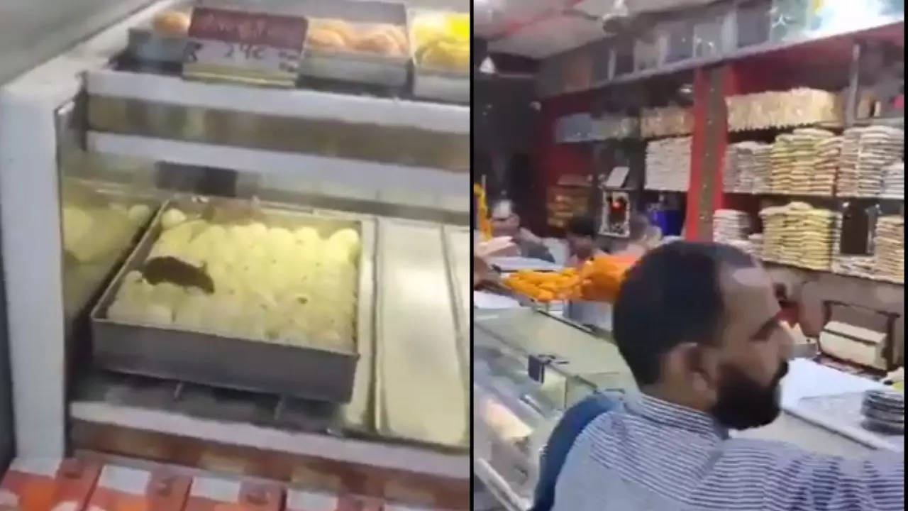 Rats Caught 'Eating Food On Display At Delhi's Popular Shop