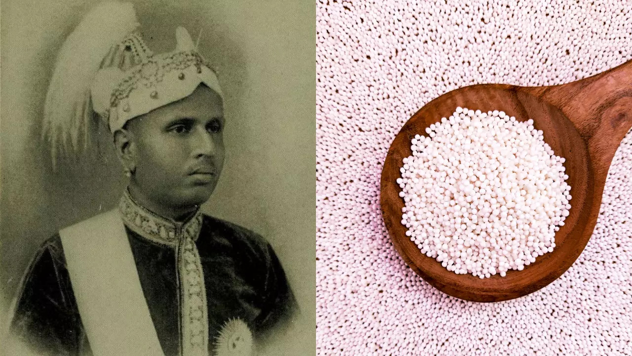 Man Who Brought Sabudana To India