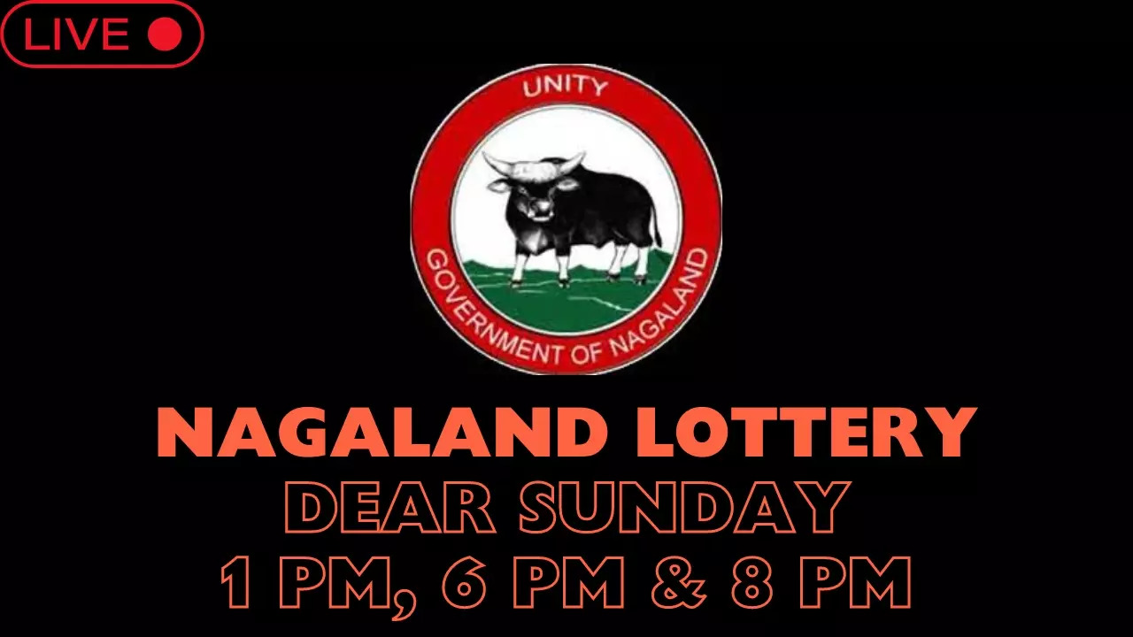 Nagaland State Lotteries' draws for Sunday, 6 October, 2024, include Dear Yamuna (1 pm), Dear Sea (6 pm) and Dear Toucan (8 pm),