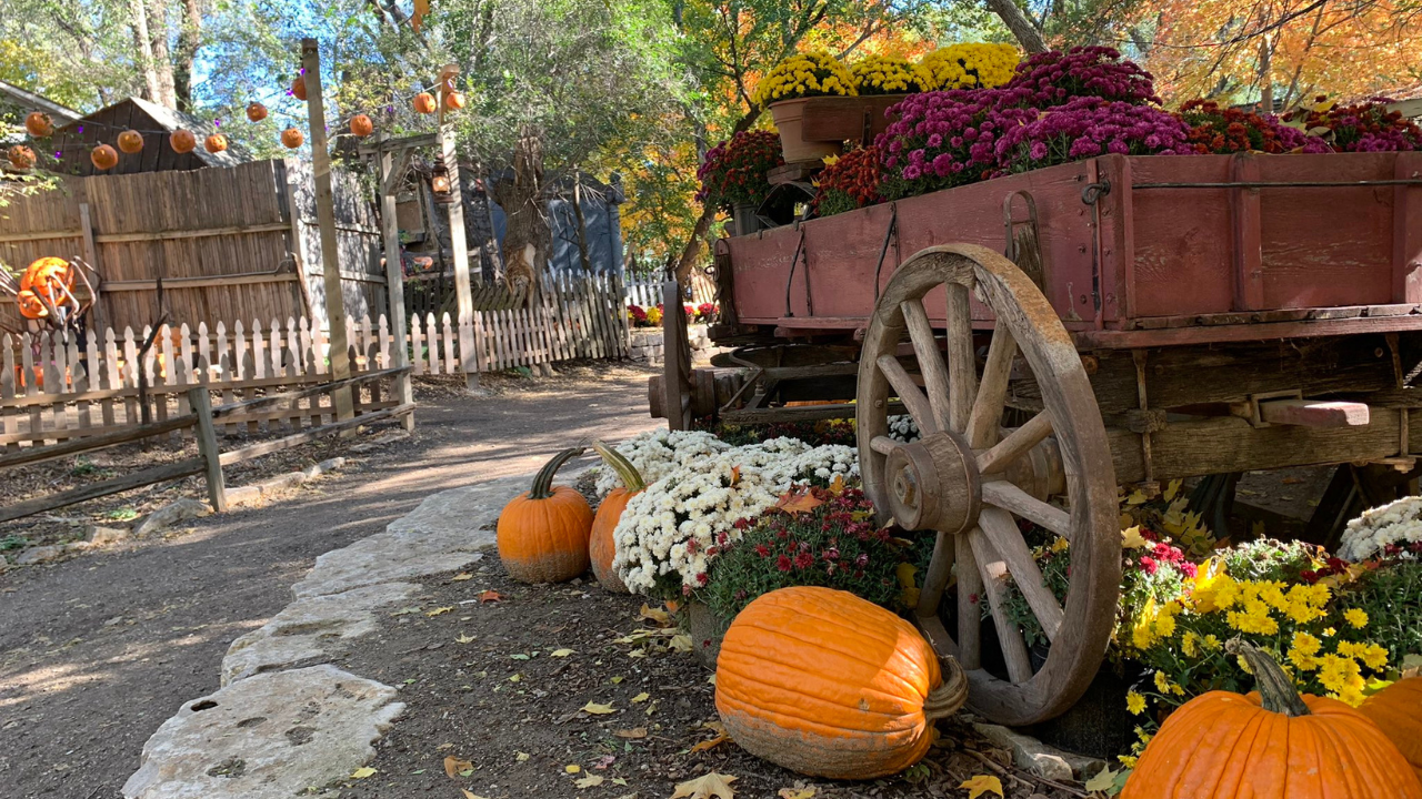 Valas Pumpkin Patch