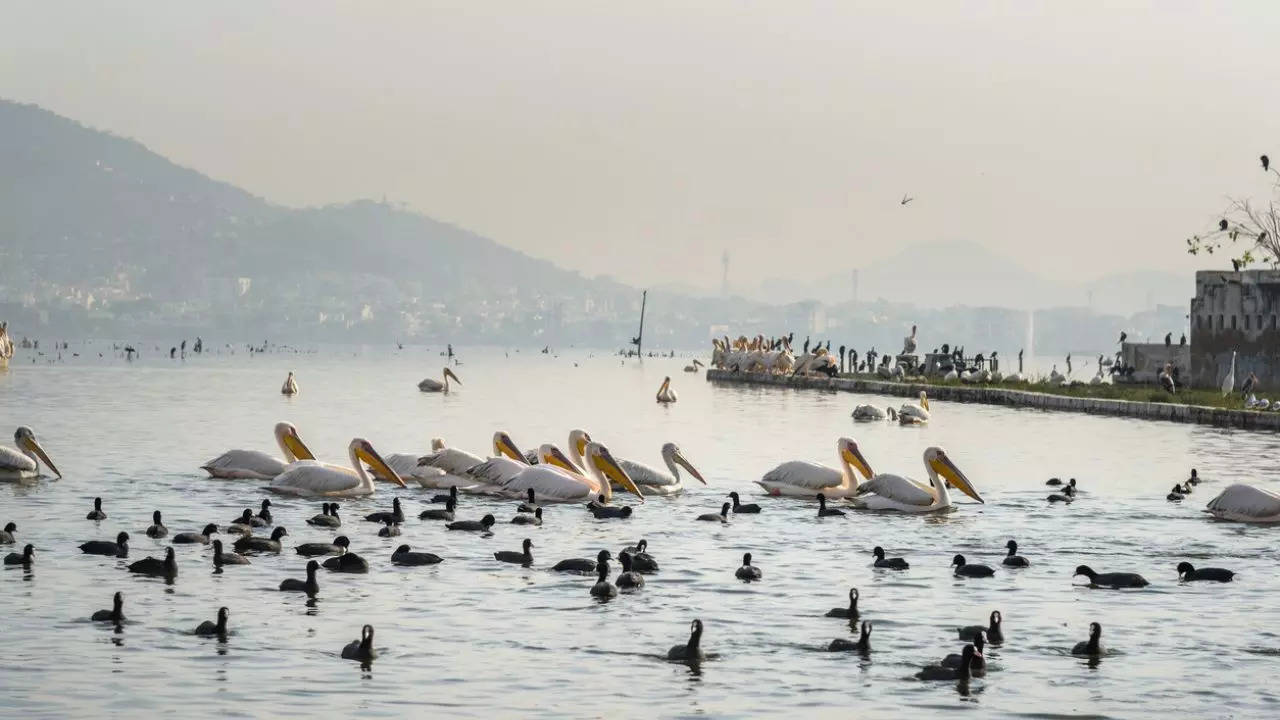 Rajasthan Starts India's First Luxury E-Cruise On Ajmer’s Ana Sagar Lake. Credit: iStock