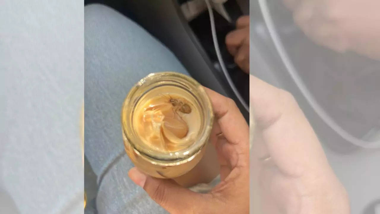 The image shows cockroach in iced latte from L’Opéra’s Khan Market outlet