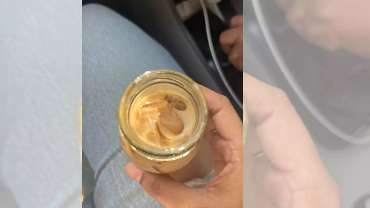 The image shows cockroach in iced latte from L’Opéra’s Khan Market outlet