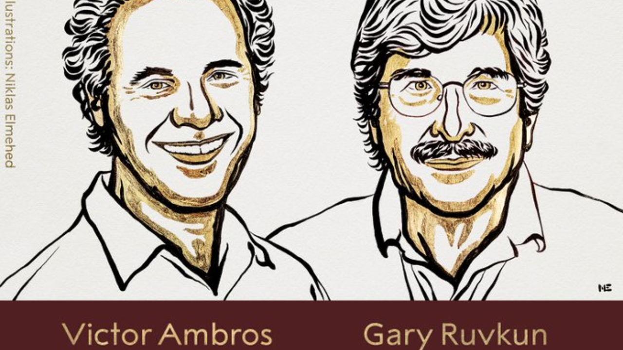 Victor Ambros And Gary Ruvkun Win Nobel Prize In Medicine