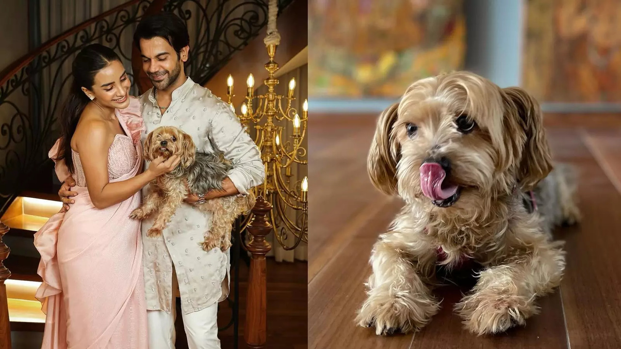 Rajkummar Rao, Patralekhaa Grieve Over Their Pet Dog Gaga: Thank You For Looking After Us