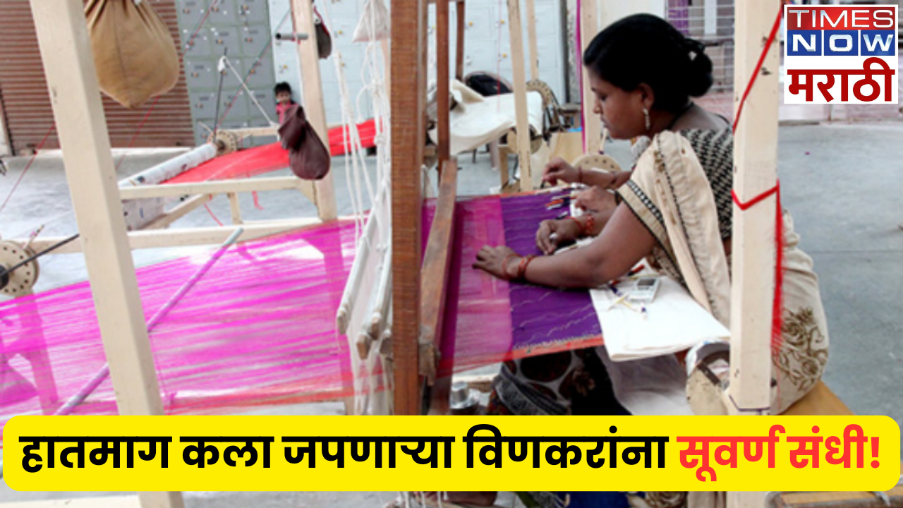 Many schemes will benefit from the government in Handloom Business