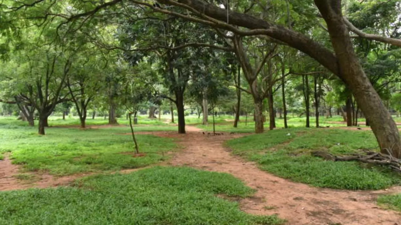 Representative Image: Bengaluru Will Soon Get Another Park Similar To Cubbon Park