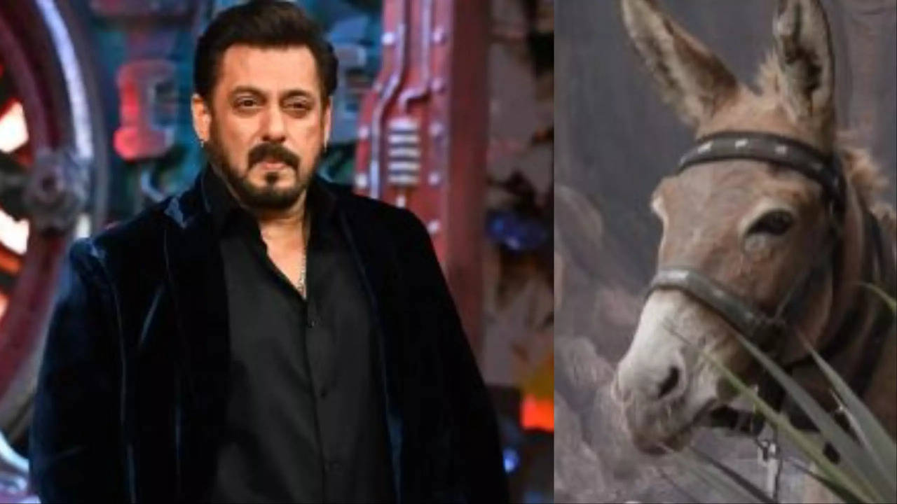 PETA India Issues Open Letter To Bigg Boss 18 Host Salman Khan: 'Stop Using Animals'