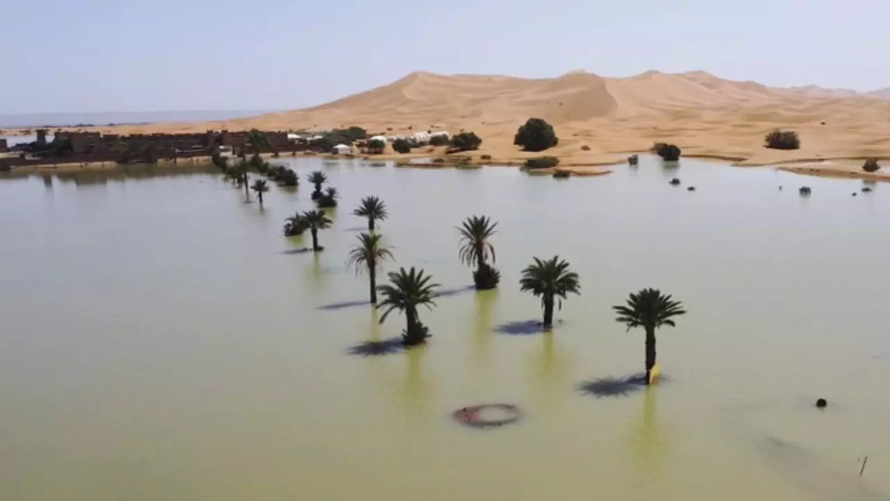 Rainfall in Sahara Desert