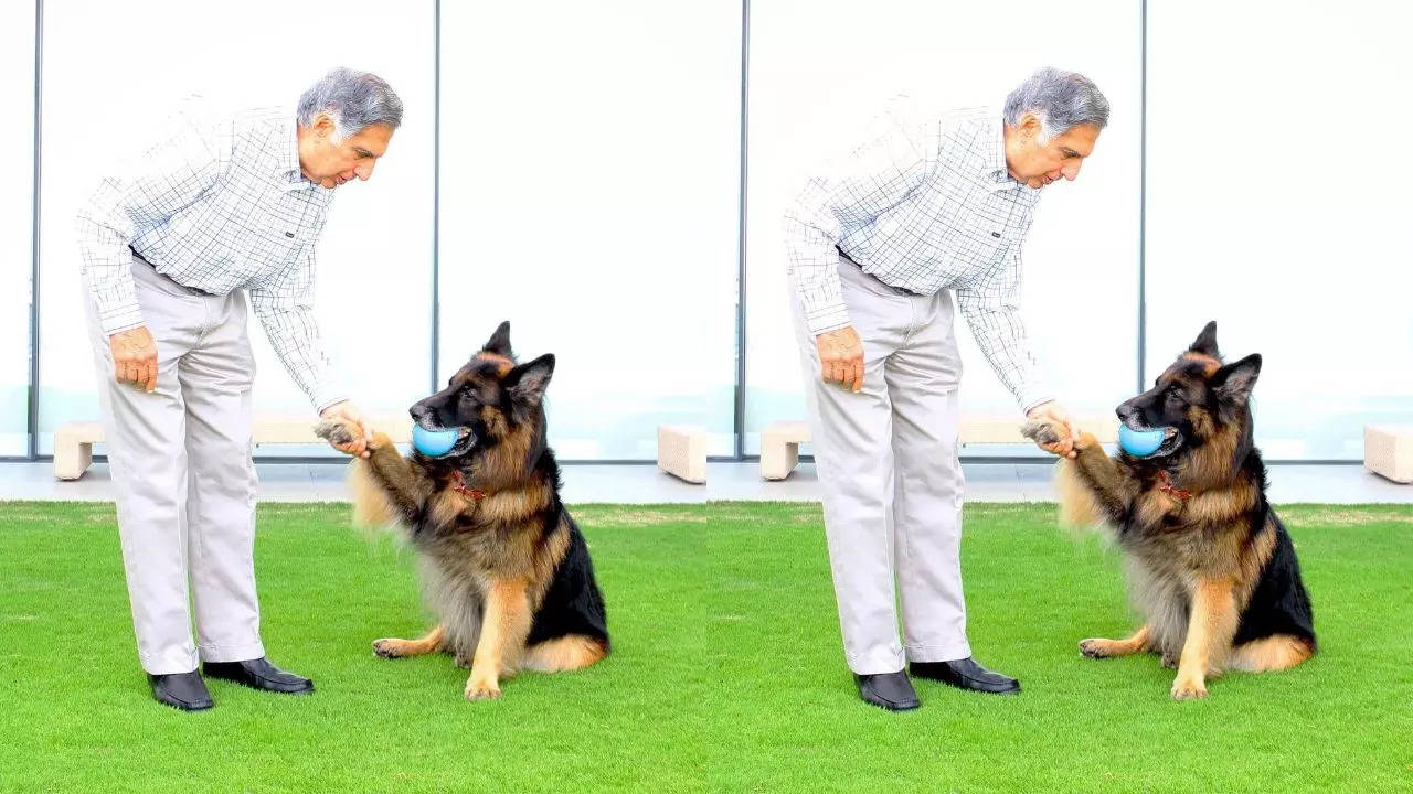 Ratan Tata Had Once Cancelled Meeting UK Royal King Charles To Be With His Sick Dog!