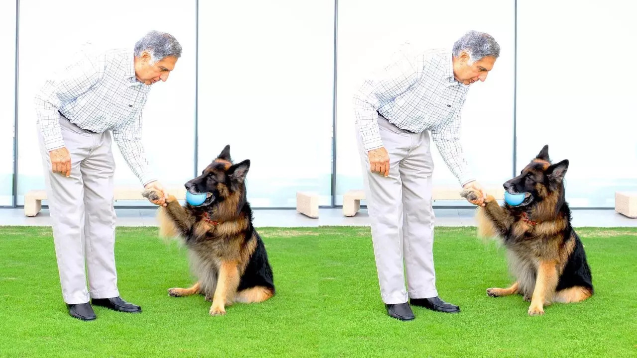 Ratan Tata Had Once Cancelled Meeting UK Royal King Charles To Be With His Sick Dog!