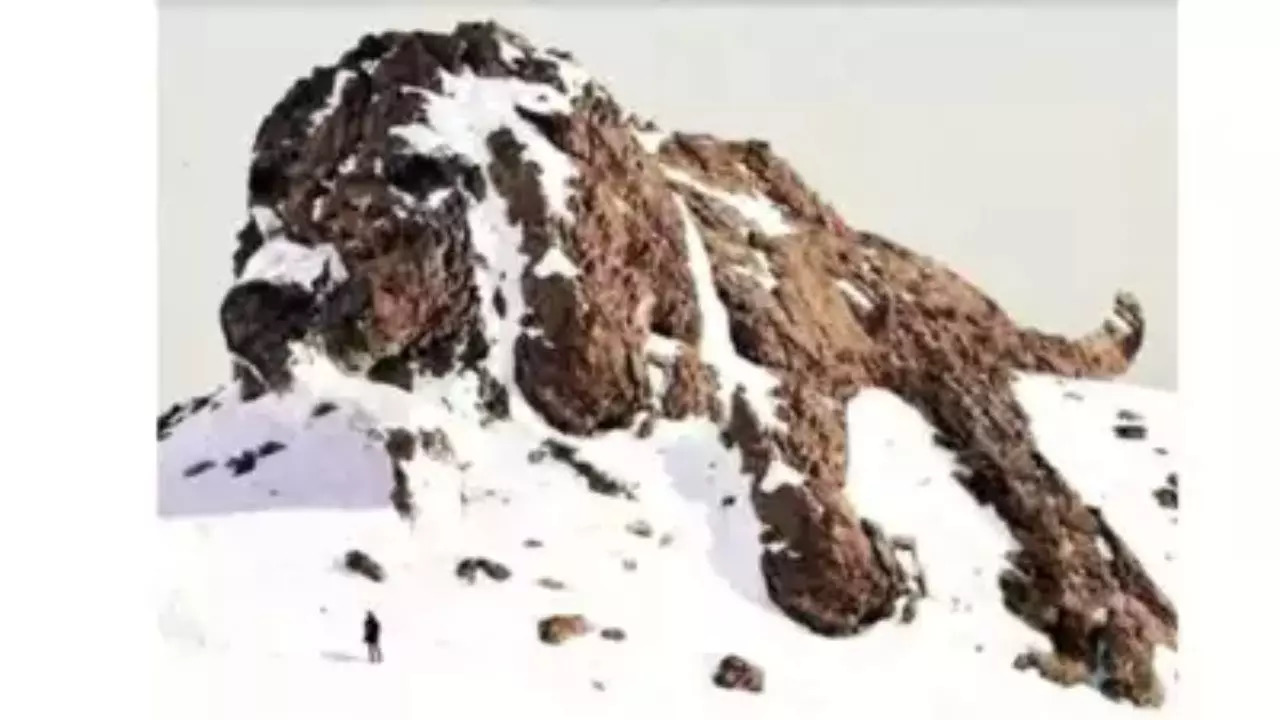 ​What Do You See First? A Dog Or A Mountain