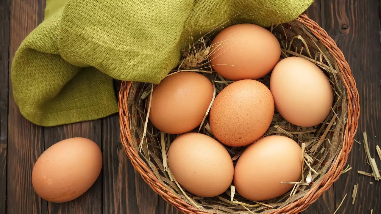 World Egg Day 2024 From Ancient Egypt To Rome, How History Shaped The