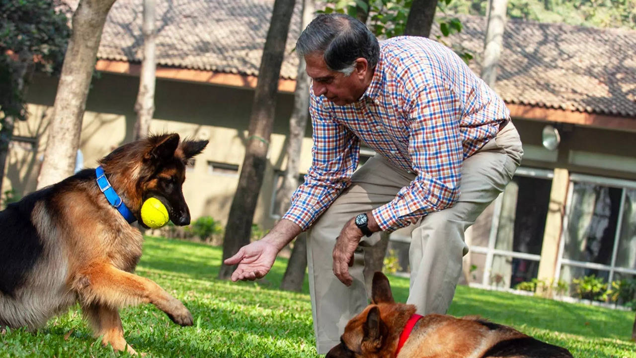 ratan tata loves dogs here read 5 heartwarming stories of ratan tata bond with dogs