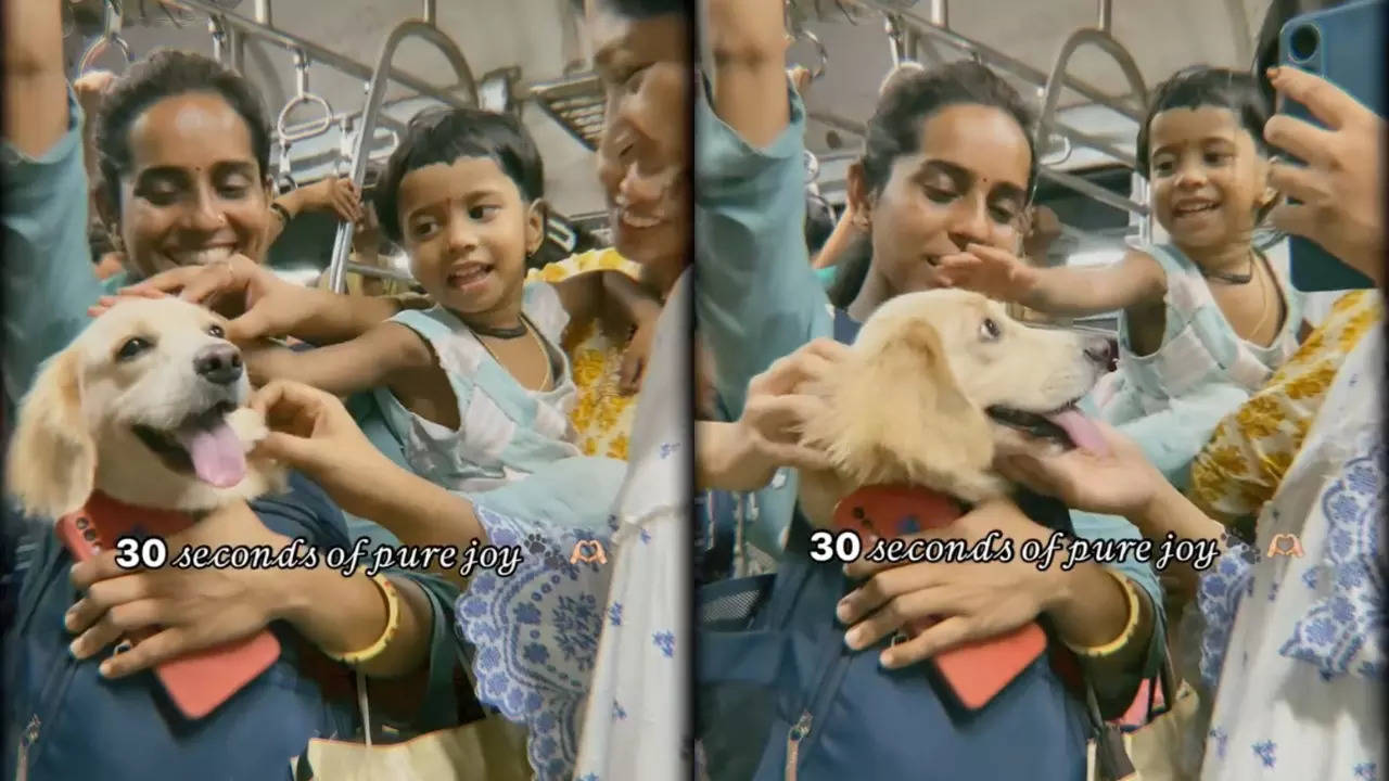 Mumbai local train passengers pet a Golden Retriever onboard.| Courtesy: Heeni Parmar