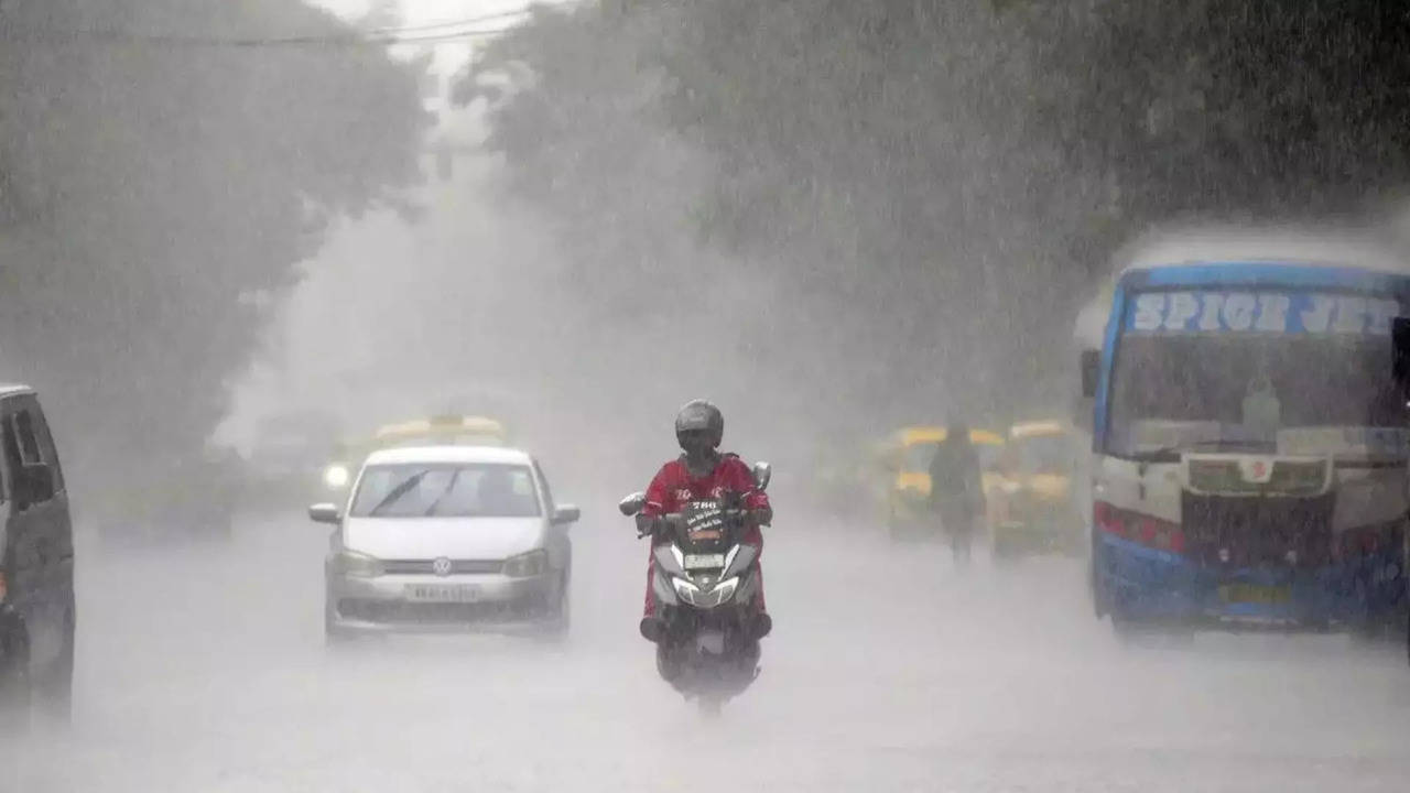 kerala weather updates, yellow alert in 8 districts, know the places