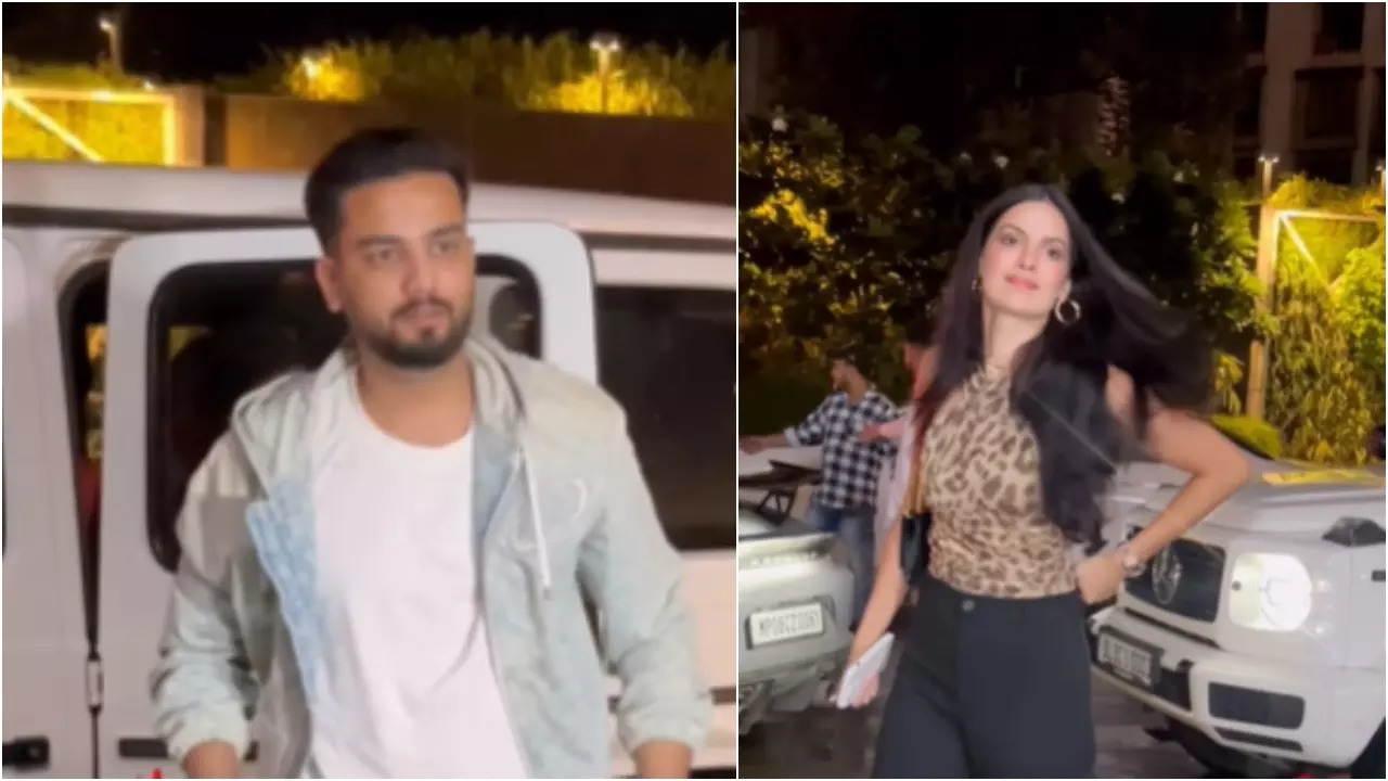 SPOTTED! Elvish Yadav Hangs Out With Hardik Pandya's Ex-Wife Natasa Stankovic - Watch