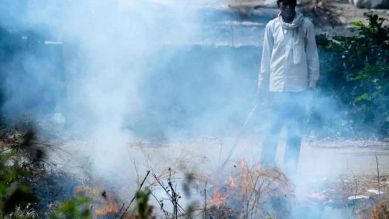 Representative Image: Stubble Burning