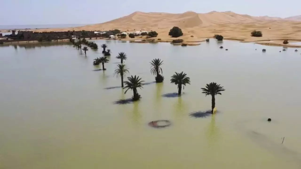 Parts of Sahara Desert get flooded after unprecedented rainfall