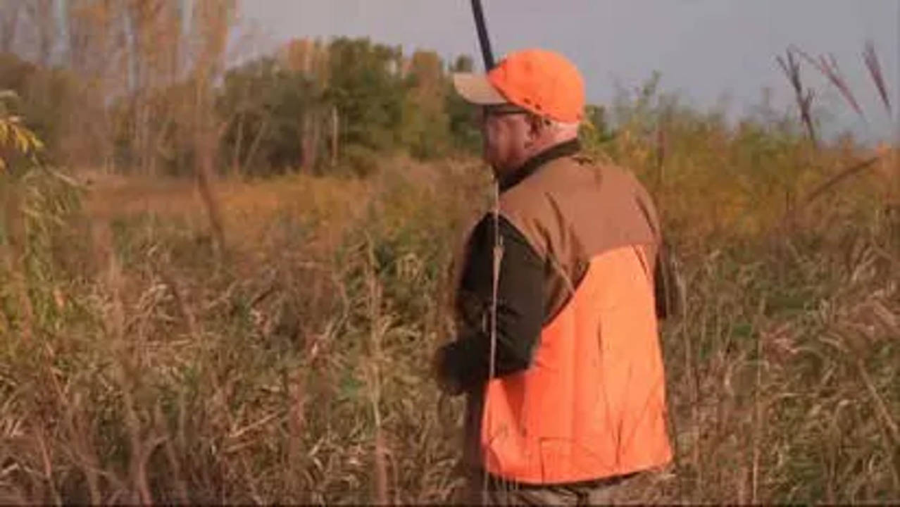 Tim Walz Pheasant Hunting.