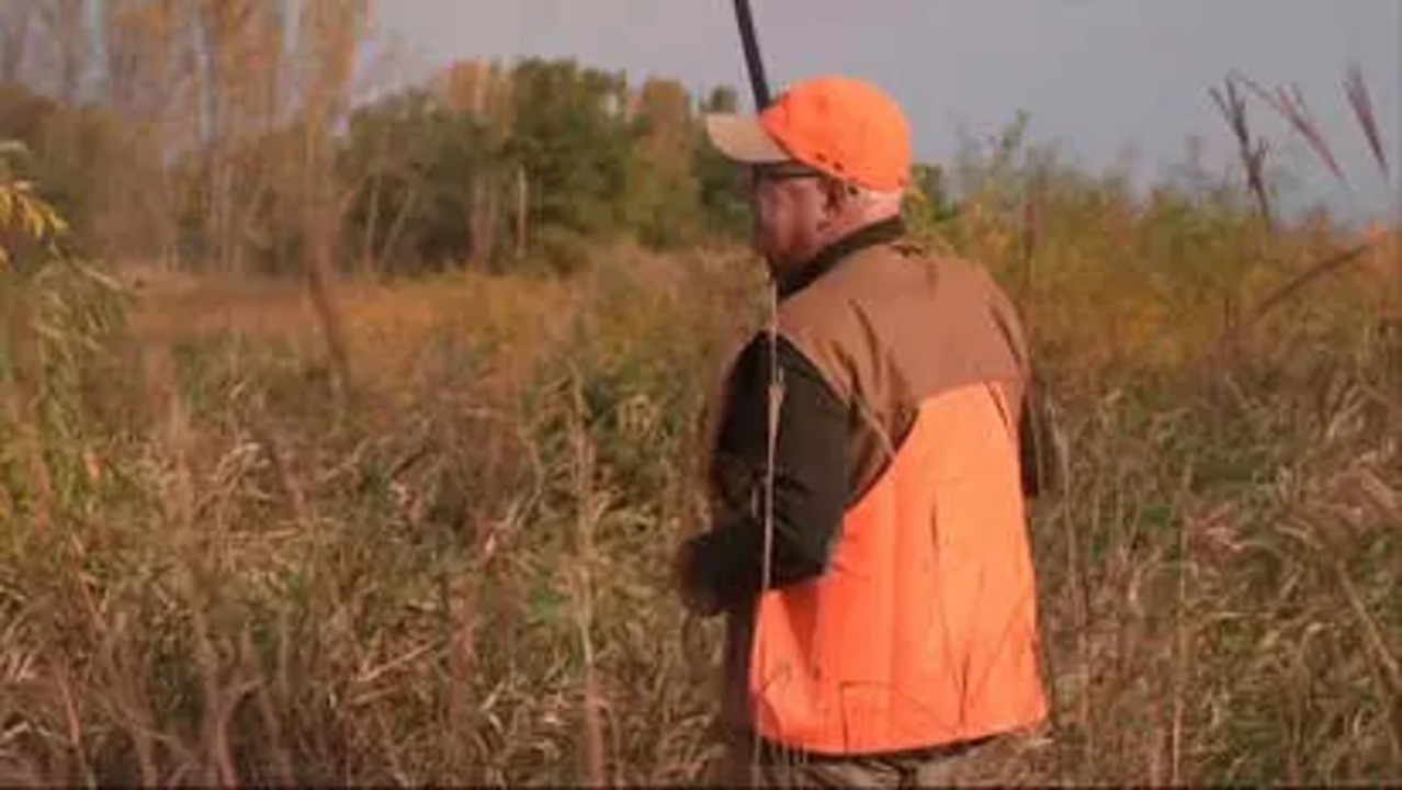 Tim Walz Pheasant Hunting.