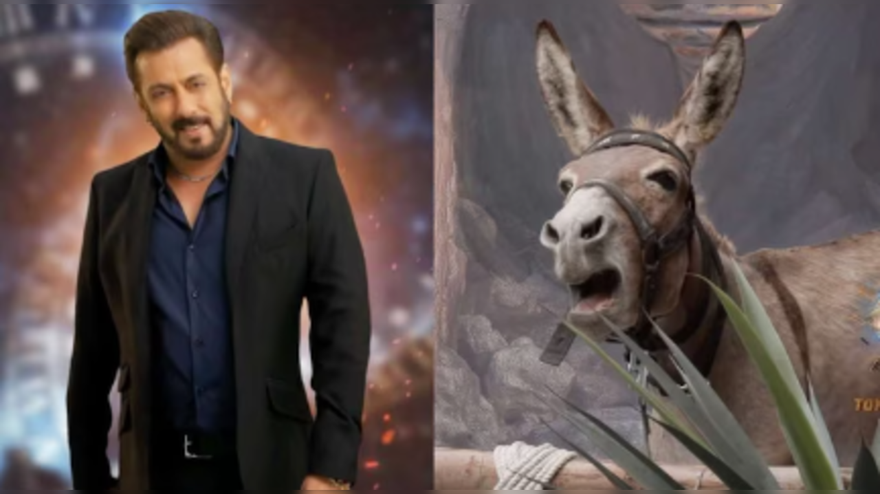 Bigg Boss 18: Donkey Gadhraj RELEASED From House After PETA Calls Out Makers For Animal Abuse