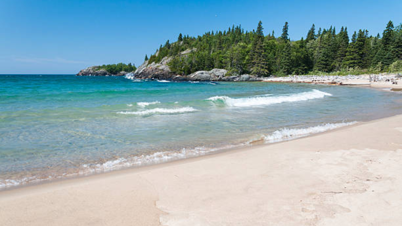 Mysterious White 'blobs' Washing Up On Beach In Canada's Newfoundland