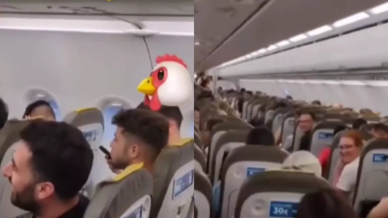 Chicken Mimicry Viral Video (Photo : Instagram)