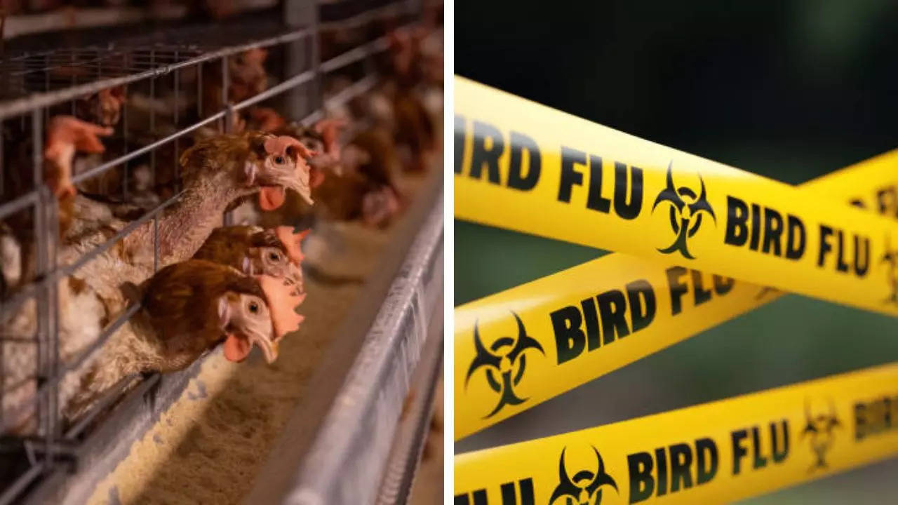 California Confirms Two Additional Bird Flu Cases, Taking the Total US Tally To 18  