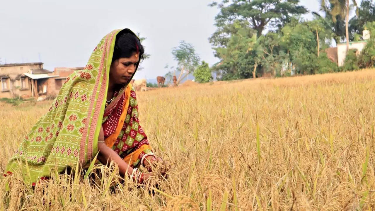 Empowering Women Farmers Shaping Indias Agricultural Landscape