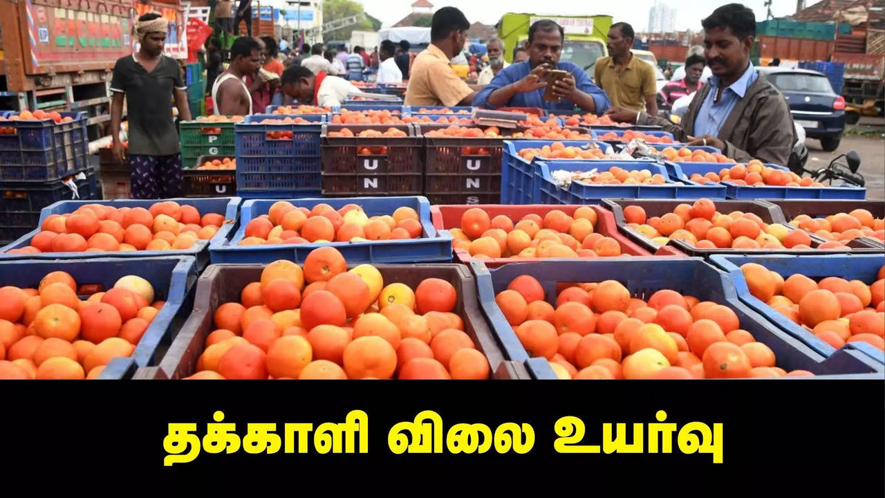 Tomato Price