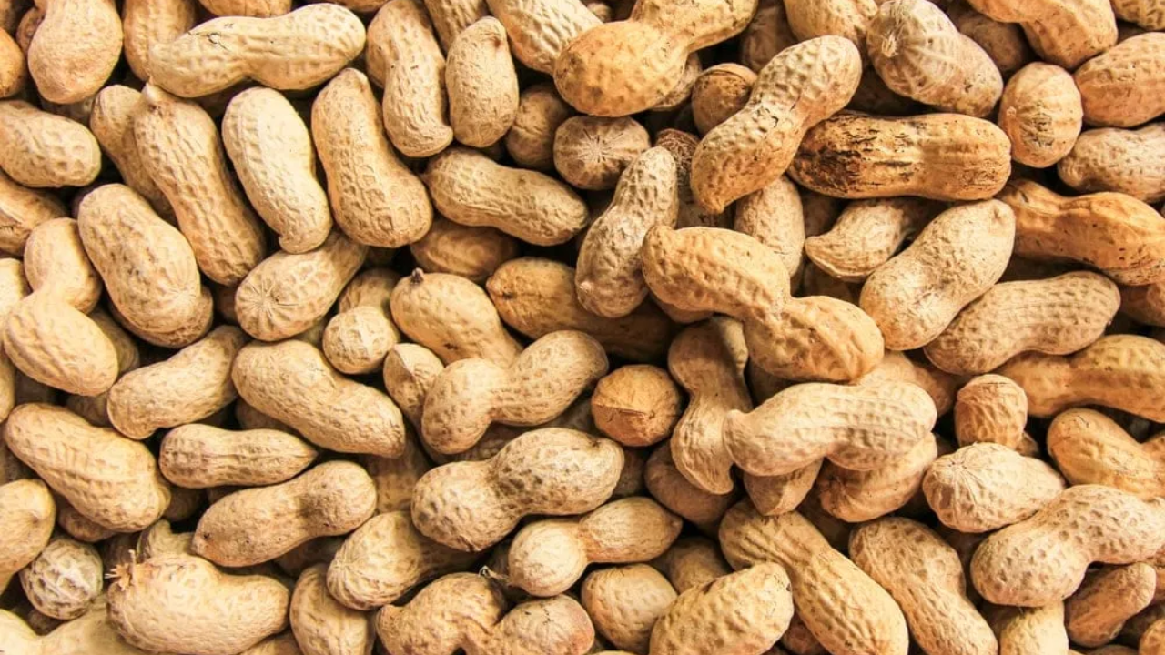 peanuts in winter