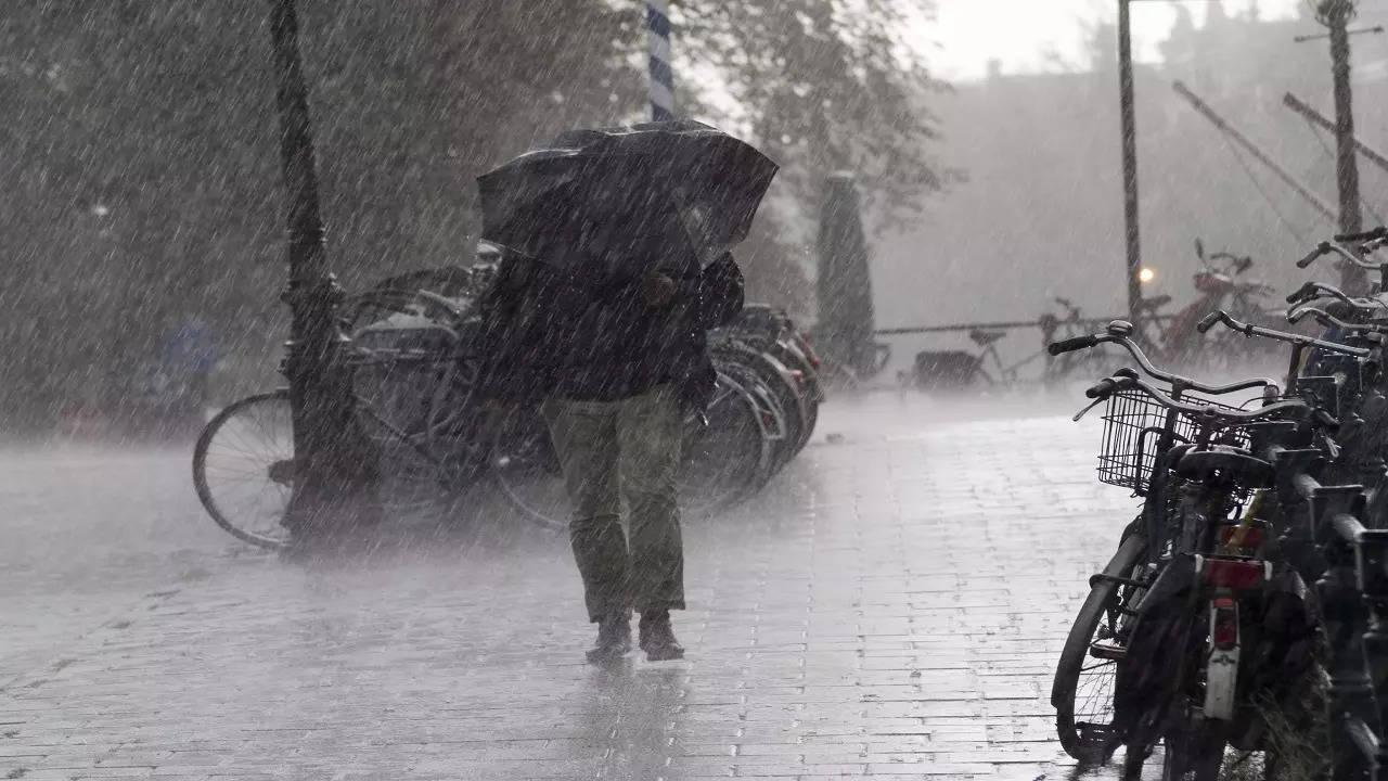 School Holiday News Tomorrow Highlights Schools Closed in Tamil Nadu Bengaluru and THESE Resgions Due to Very Heavy Rainfall