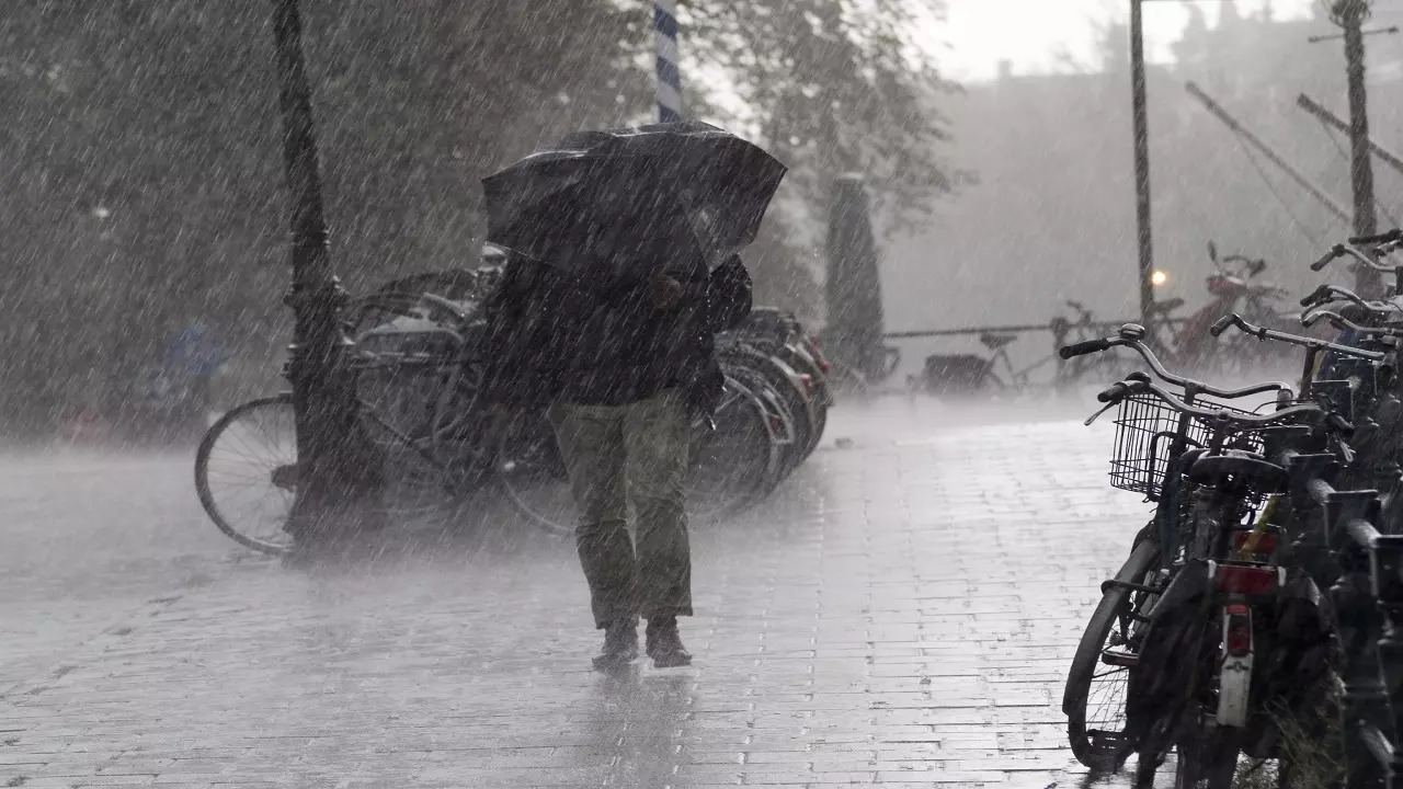 School Holiday News Today LIVE Schools Closed Today in Chennai Bengaluru and THESE Districts Due to Very Heavy Rainfall