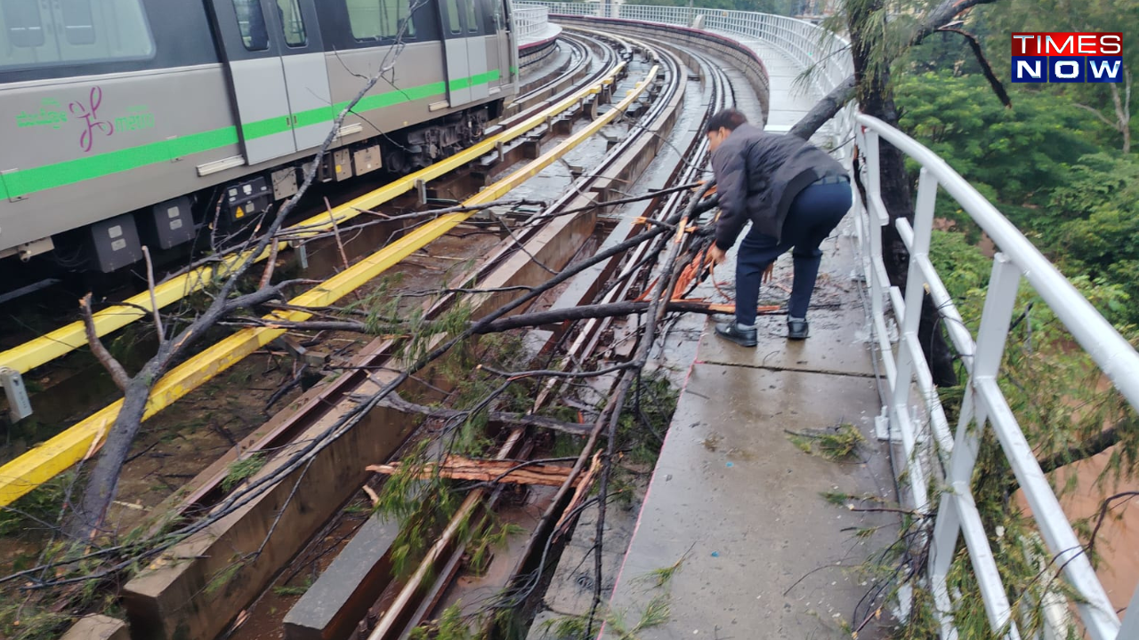 Namma Metro Services Disrupted by Fallen Tree; City Faces Severe Flooding