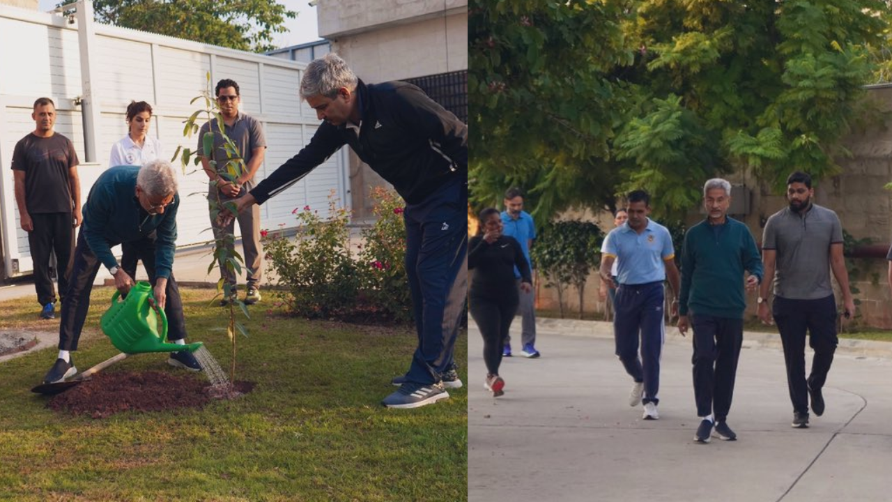 jaishankar tree