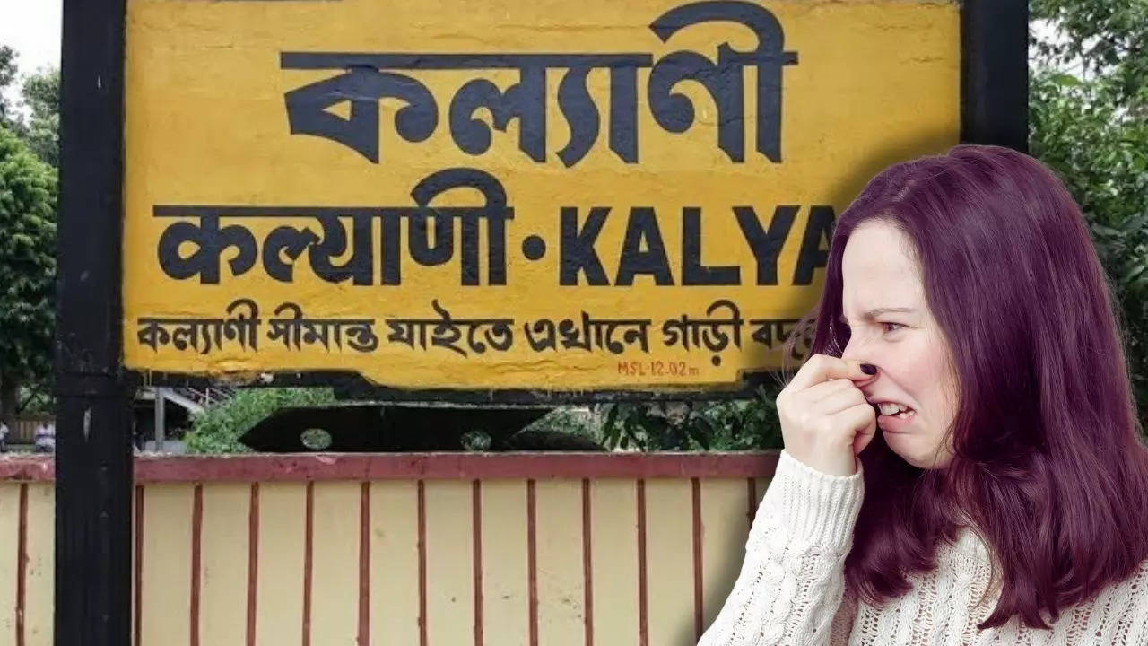 Kalyani locals are frustrated with durga puja outside visitors for their unhealthy behavior