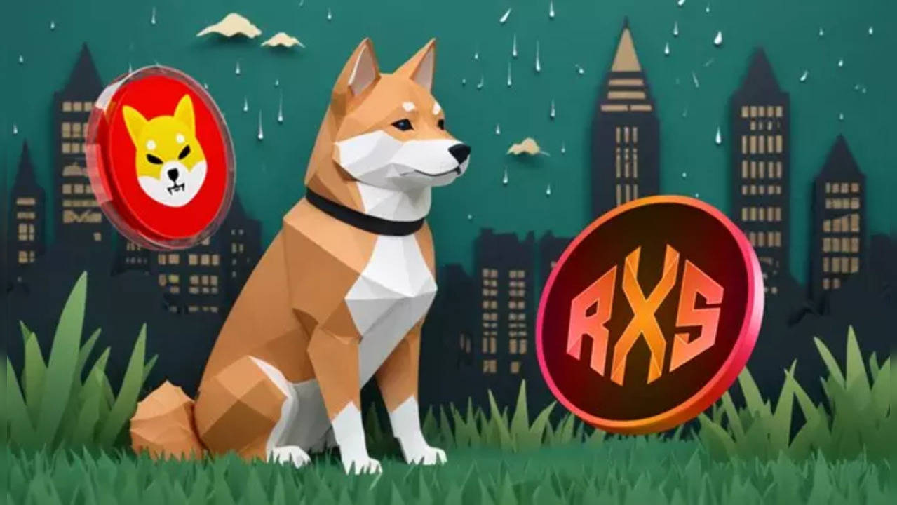 Is Rexas Finance (RXS) A Good Investment? Shiba Inu Millionaire Compares RXS to SHIB in 2021