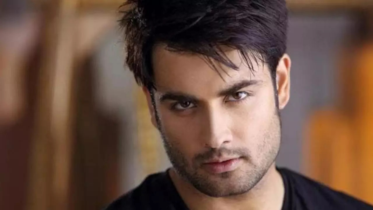 Bigg Boss 18: Vivian Dsena Recalls His First Meeting With Nouran Aly, Talks About His Ex-Wife Vahbiz Dorabjee