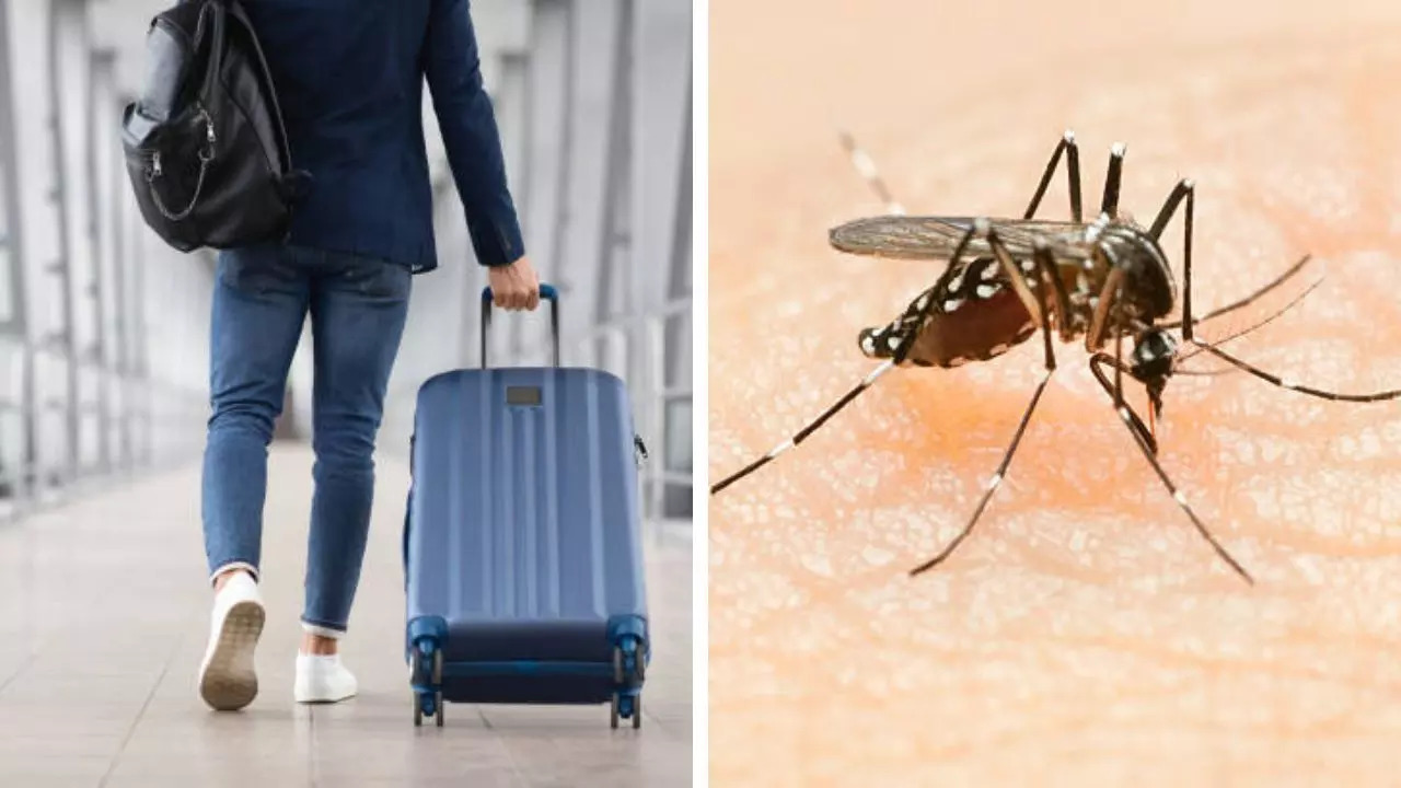 What Is Killer Airport and Luggage Malaria Spreading Across Europe