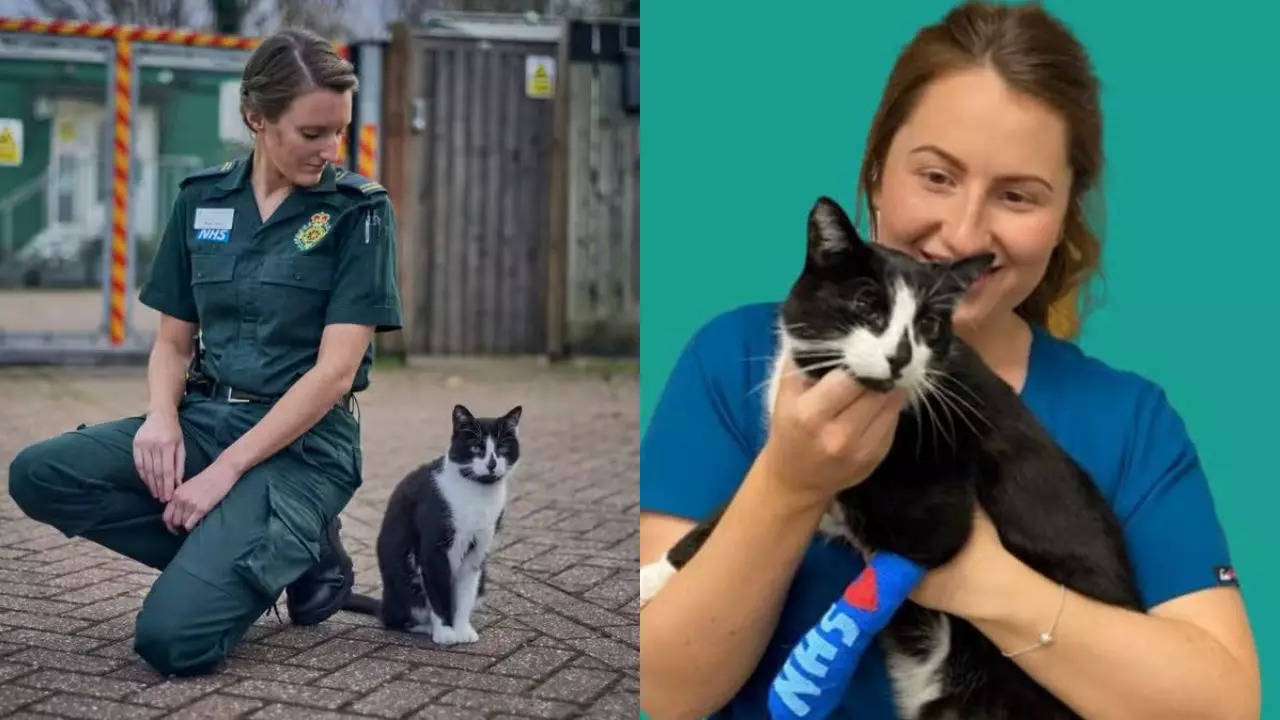 Defib the cat could be evicted from the Walthamstow NHS base. | London Ambulance Service