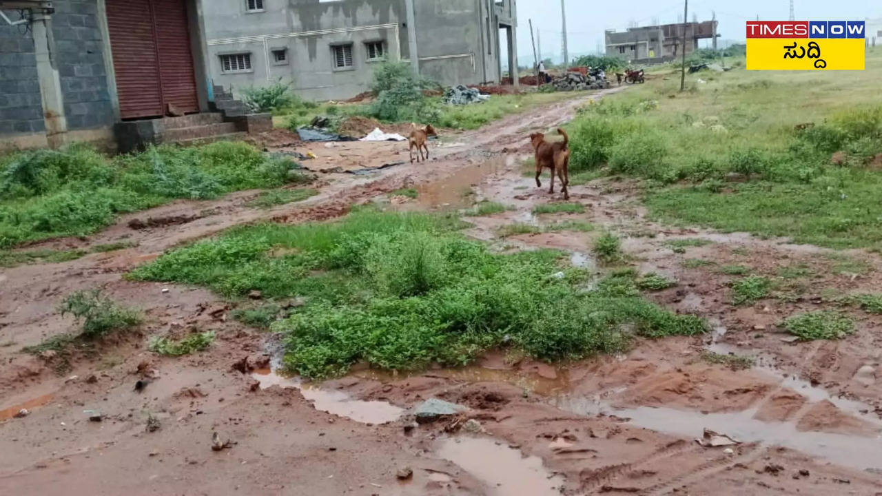 ಬಾಲಕನ ಮೇಲೆ ಬೀದಿ ನಾಯಿಗಳ ದಾಳಿ