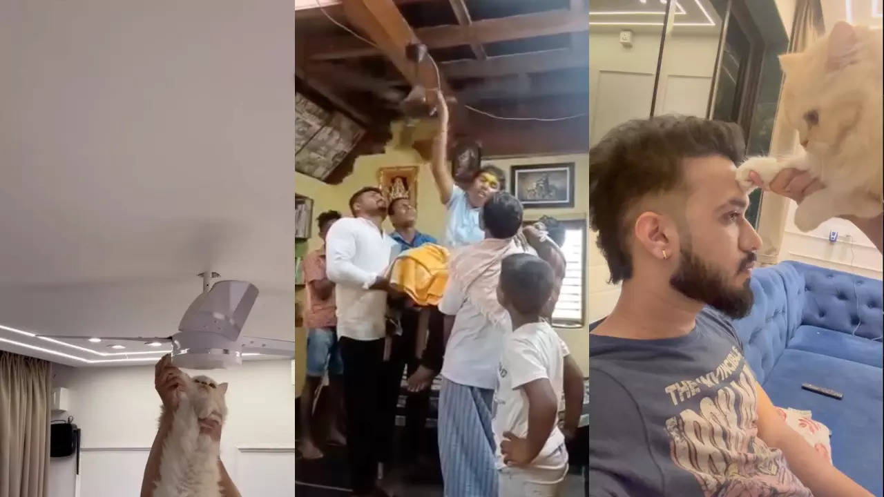 Pankha Baba, aka Laddu Mutya, stops a ceiling fan with his hand to 'bless' his followers. A pet cat replicates the act in a parody video. | Courtesy: laddu.muttya_1008/c.ash.11.12/Instagram